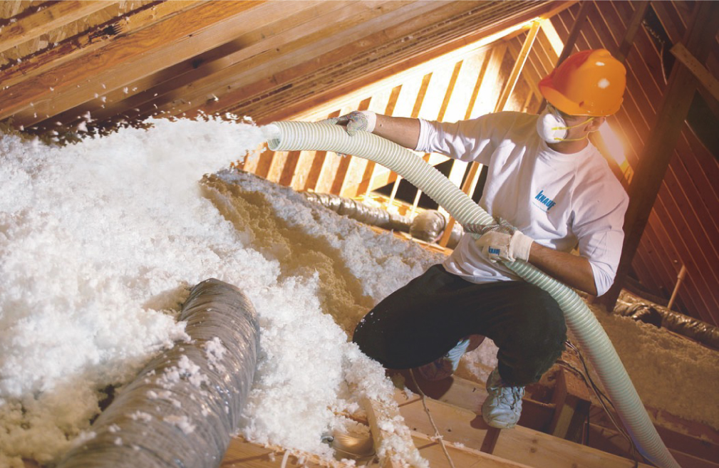 Pagrindinė informacija